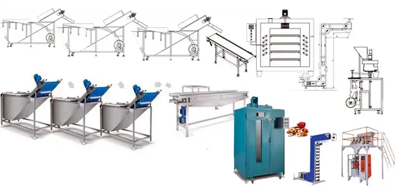 هزینه راه اندازی خط تولید میوه خشک 5