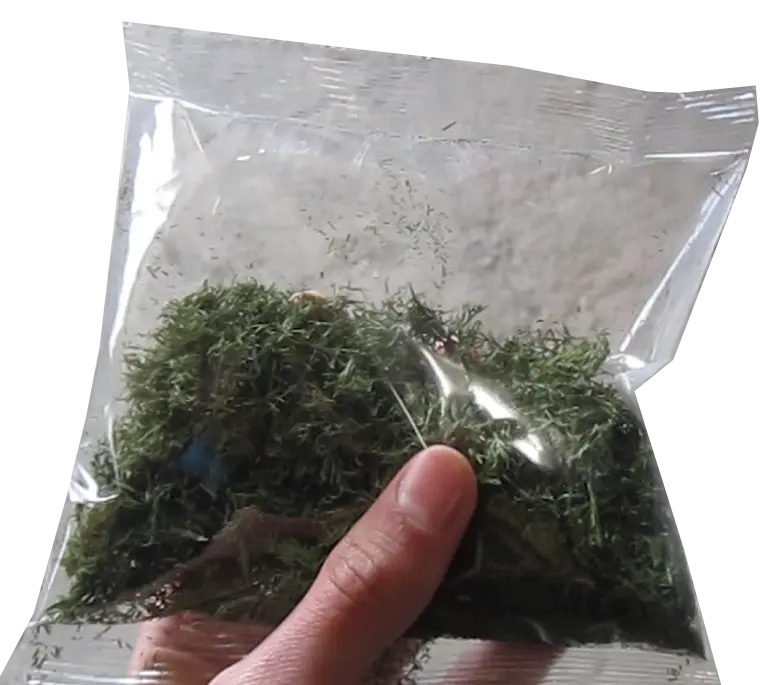 راهنمای تولید سبزیجات آماده 5