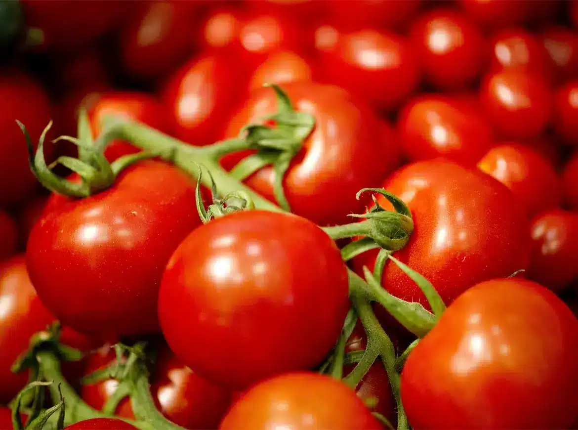 آیا دستگاه آب گوجه گیر پوست و هسته گوجه را از هم جدا میکند؟ 4