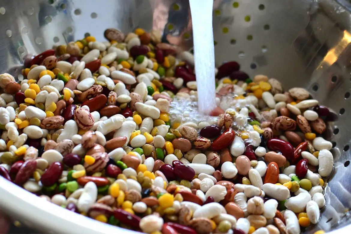 نحوه استفاده از دستگاه بلانچر نخود جهت شستشوی انواع نخود و لوبیا 4