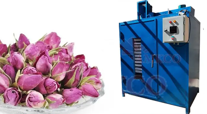 بهترین دستگاه خشک کن گل محمدی - تصویر 5 بهترین دستگاه خشک کن گل محمدی 5