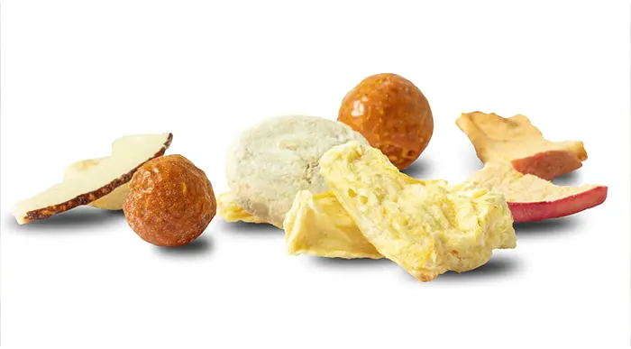 ماشین آلات خط تولید میوه خشک 5