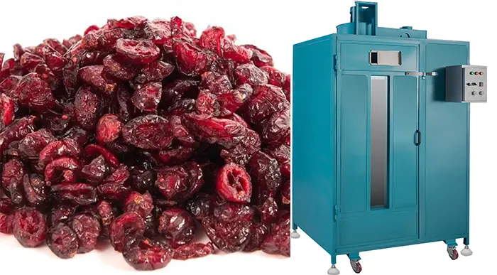 ماشین آلات خط تولید میوه خشک 6
