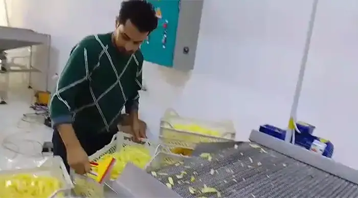 کارخانه تولید خلال سیب زمینی یک صنعت پر رونق - تصویر 6 کارخانه تولید خلال سیب زمینی یک صنعت پر رونق 6