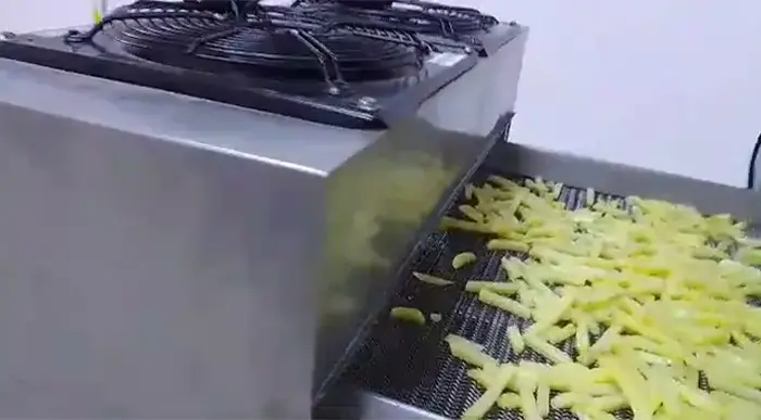 کارخانه تولید خلال سیب زمینی یک صنعت پر رونق - تصویر 8 کارخانه تولید خلال سیب زمینی یک صنعت پر رونق 8