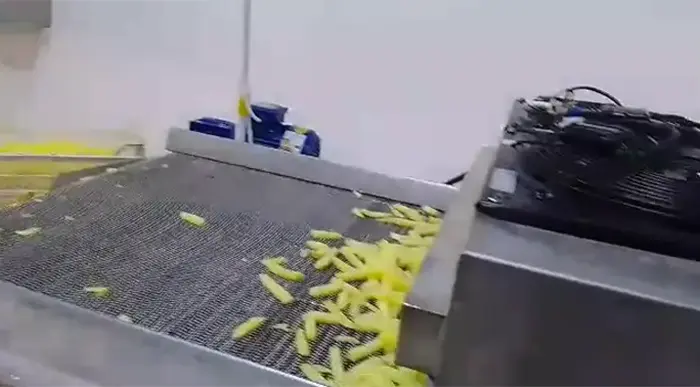 کارخانه تولید خلال سیب زمینی یک صنعت پر رونق - تصویر 7 کارخانه تولید خلال سیب زمینی یک صنعت پر رونق 7