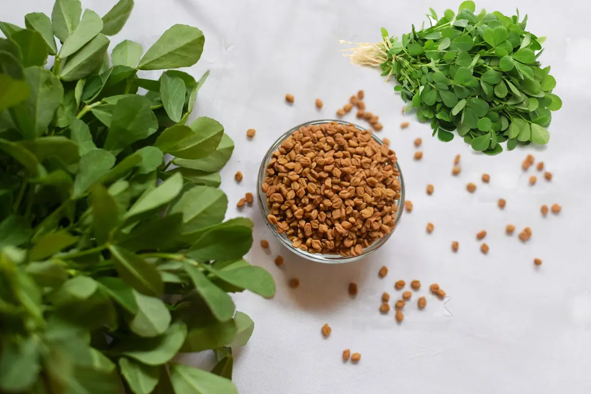 جدیدترین دستگاه بسته بندی تخم شنبلیله انواع دستگاه هایی که برای بسته بندی بذرهایی مانند شنبلیله و ... استفاده می شود به صورت توزین دار و پاکت های ایستاده ...