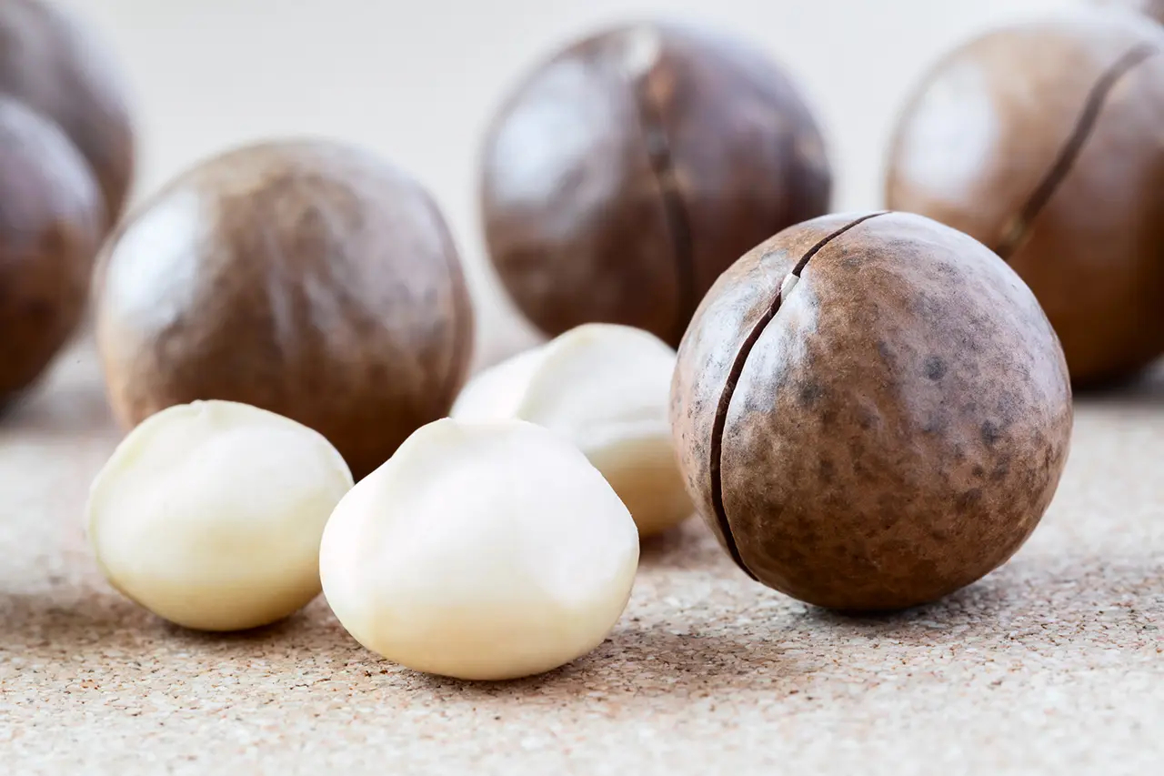 دستگاه بسته بندی فندق، کلیدی به سوی موفقیت در صنعت بسته بندی 7