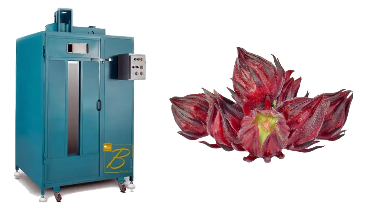 دستگاه خشک کن چای ترش: افزایش عمر مفید محصول 6