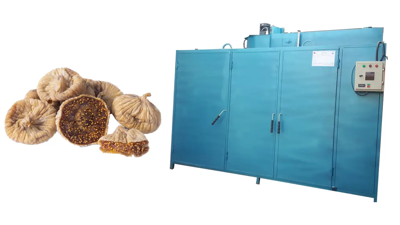 صفر تا صد تولید انجیر خشک بازاری 6