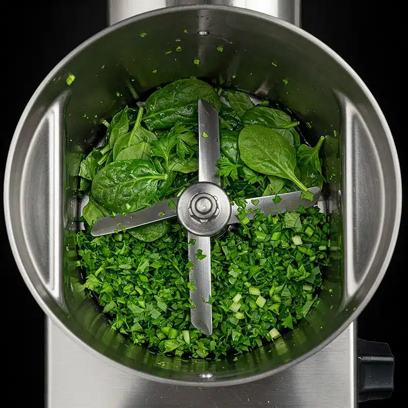 دستگاه سبزی خرد کن بشقابی 5