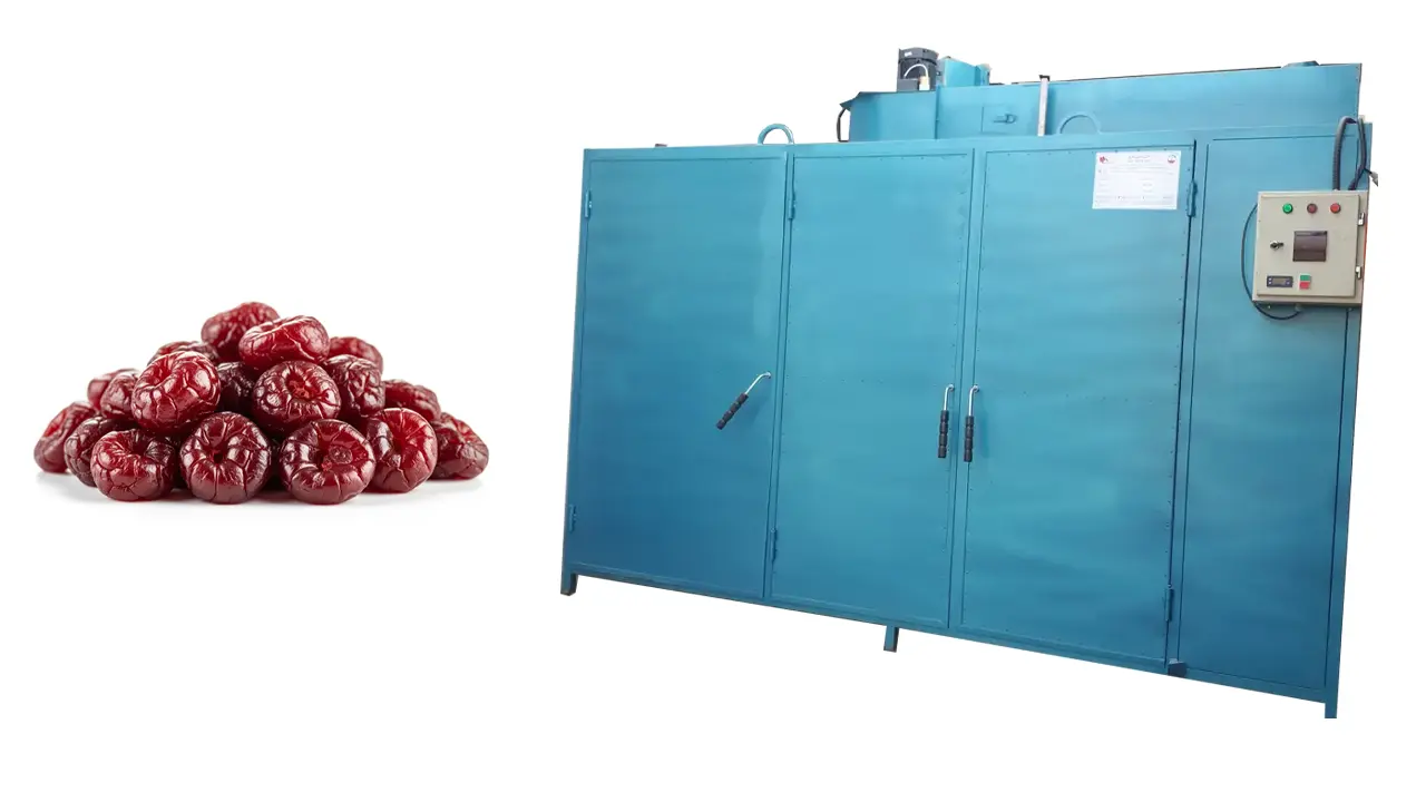 دستگاه خشک کن گیلاس و راز تولید گیلاس خشک باکیفیت - تصویر 6 دستگاه خشک کن گیلاس و راز تولید گیلاس خشک باکیفیت 6